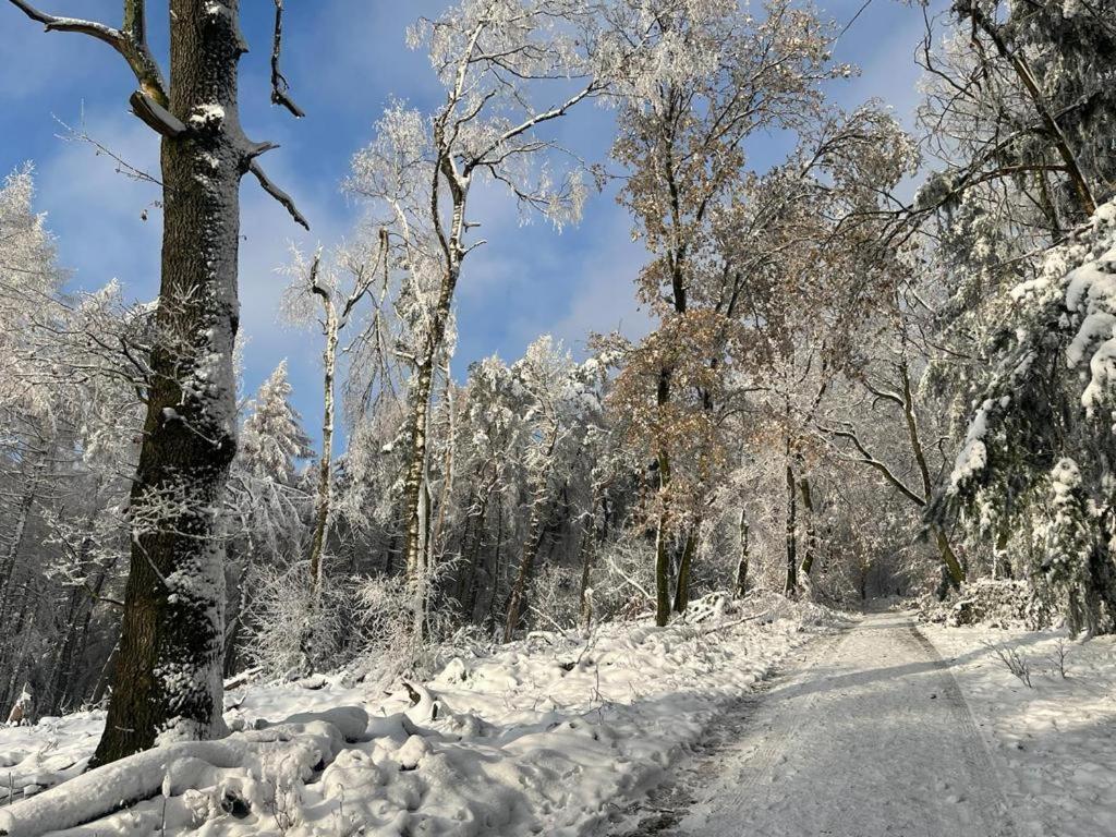 Haus Astenblick In Winterberg Fuer Bis Zu 35 Personen Fuer Wanderveranstaltungen Und Familienfeiern Exterior foto